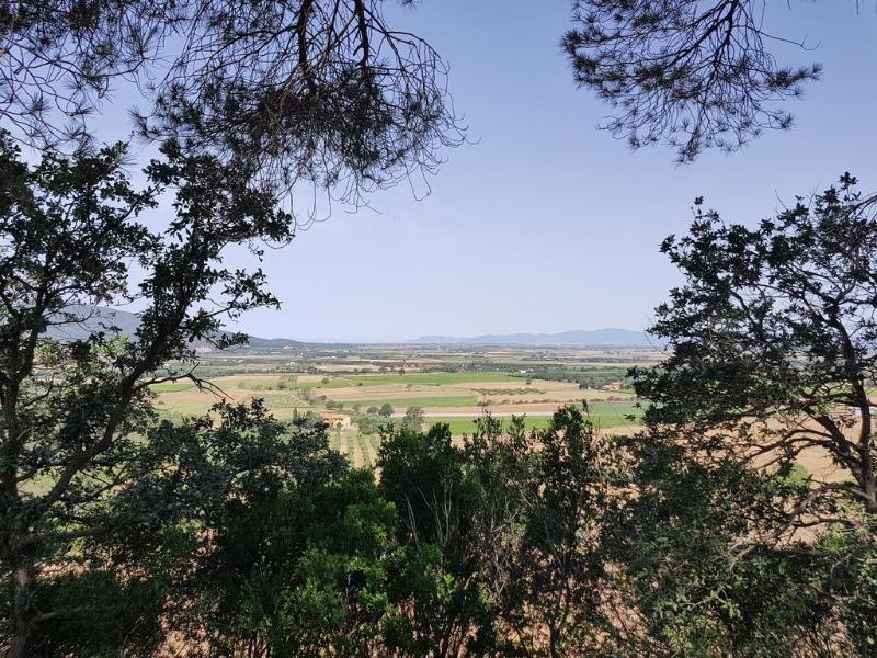 Poggio Alto Agrioturismo Villa Grosseto Exteriör bild