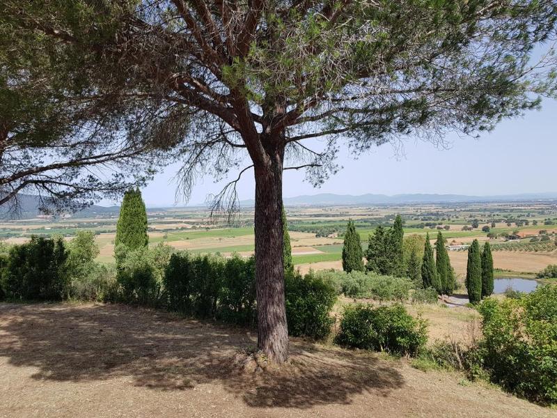 Poggio Alto Agrioturismo Villa Grosseto Exteriör bild